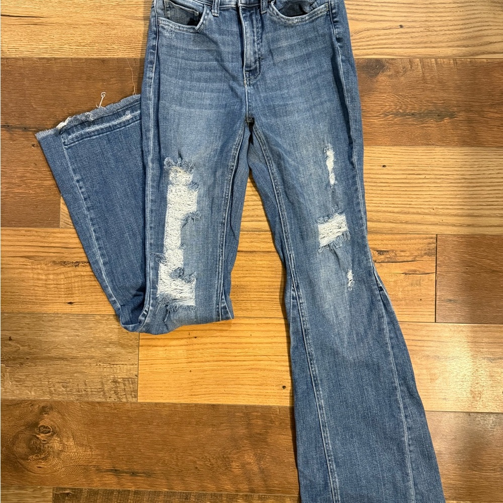 Flying Monkey Distressed Flare Jeans